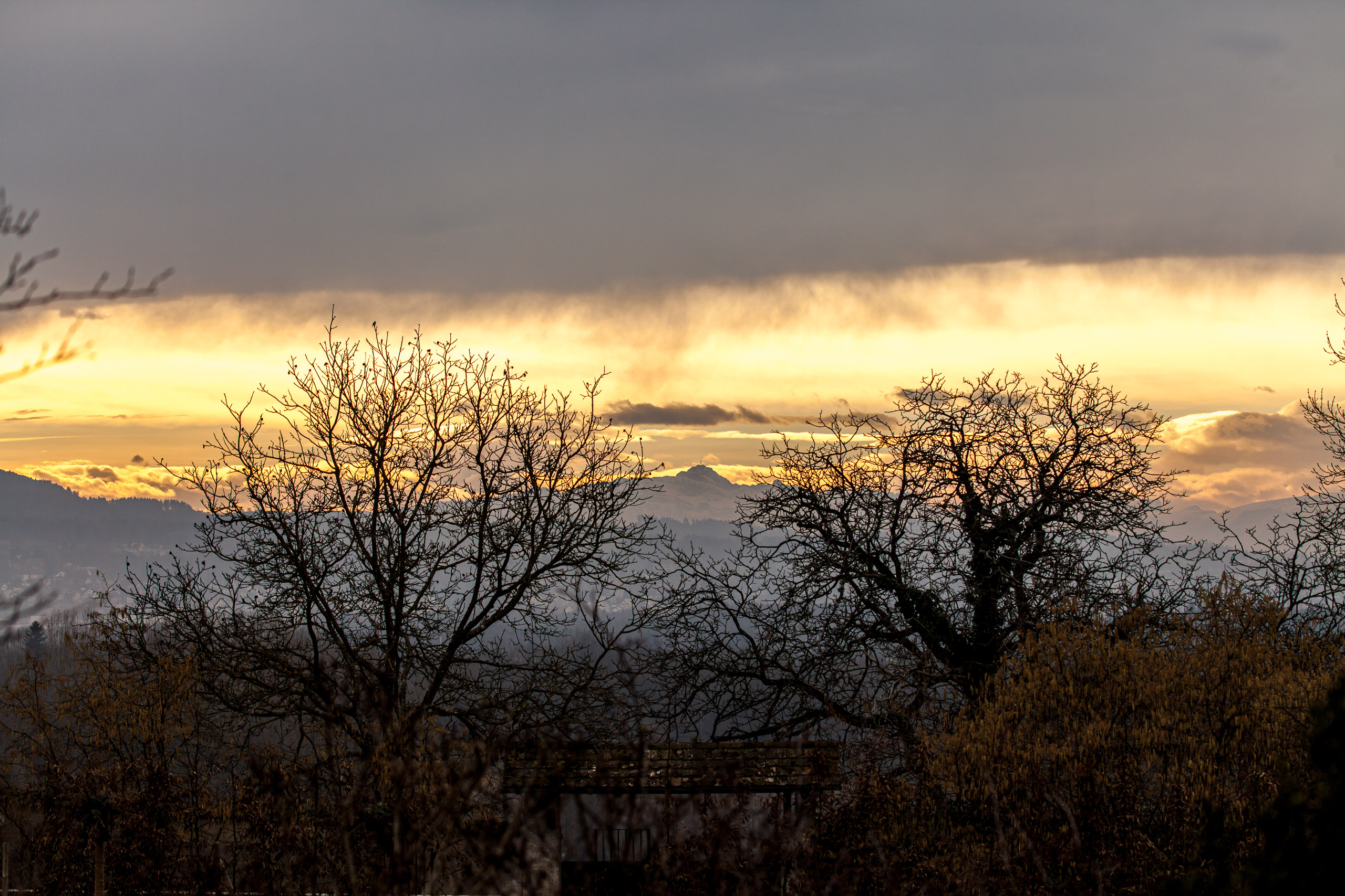 20110313133639 IMG 7269